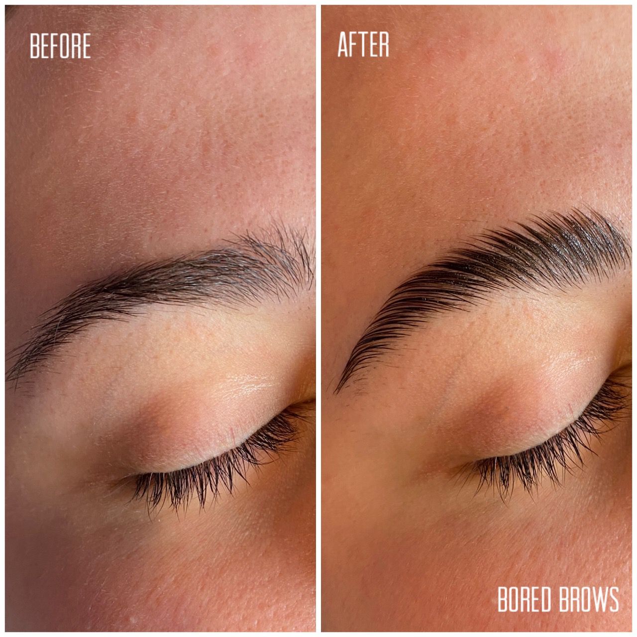 Brows Brows Brows Kit - Brow Kit, Brow Wax + Free Brush Set