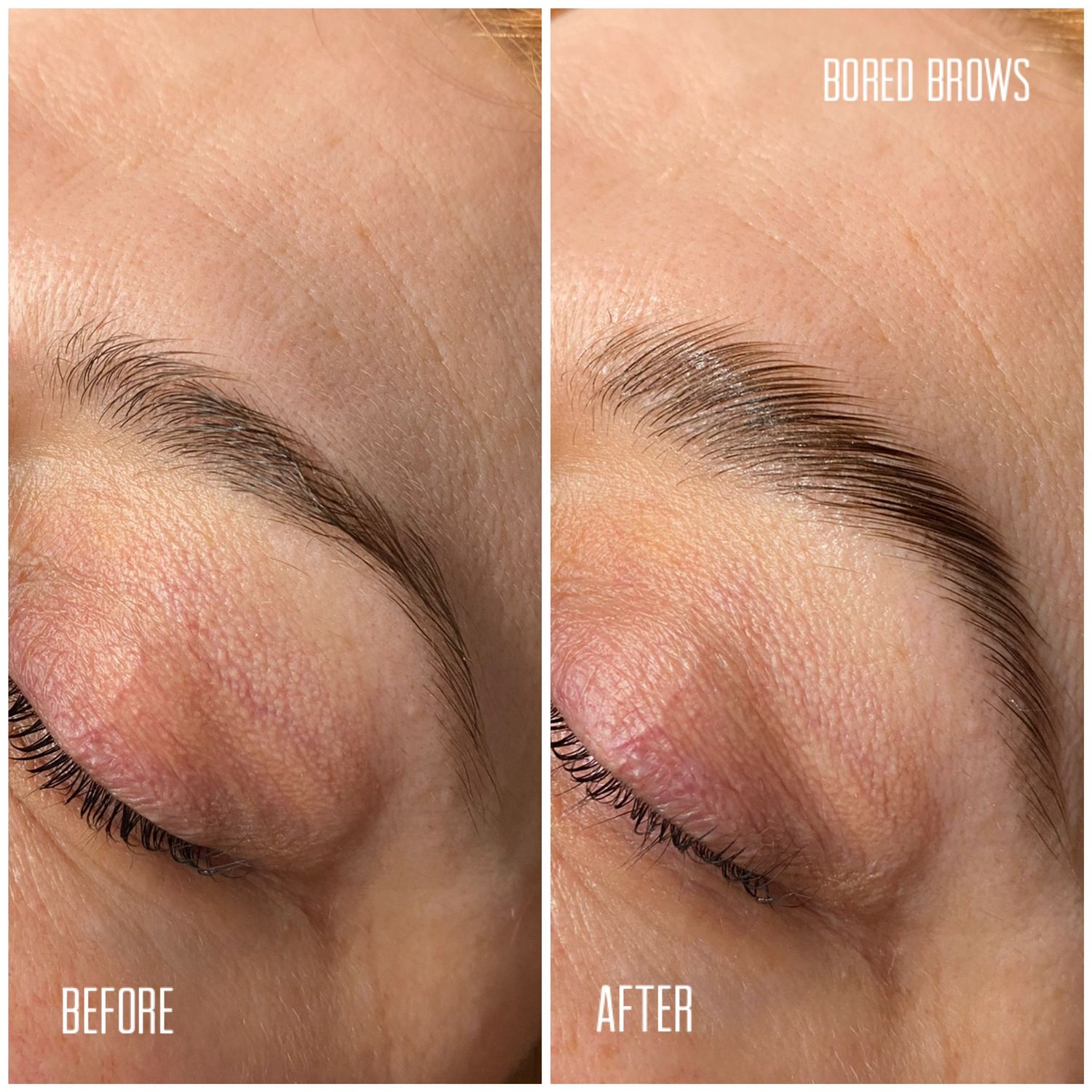 Brows Brows Brows Kit - Brow Kit, Brow Wax + Free Brush Set