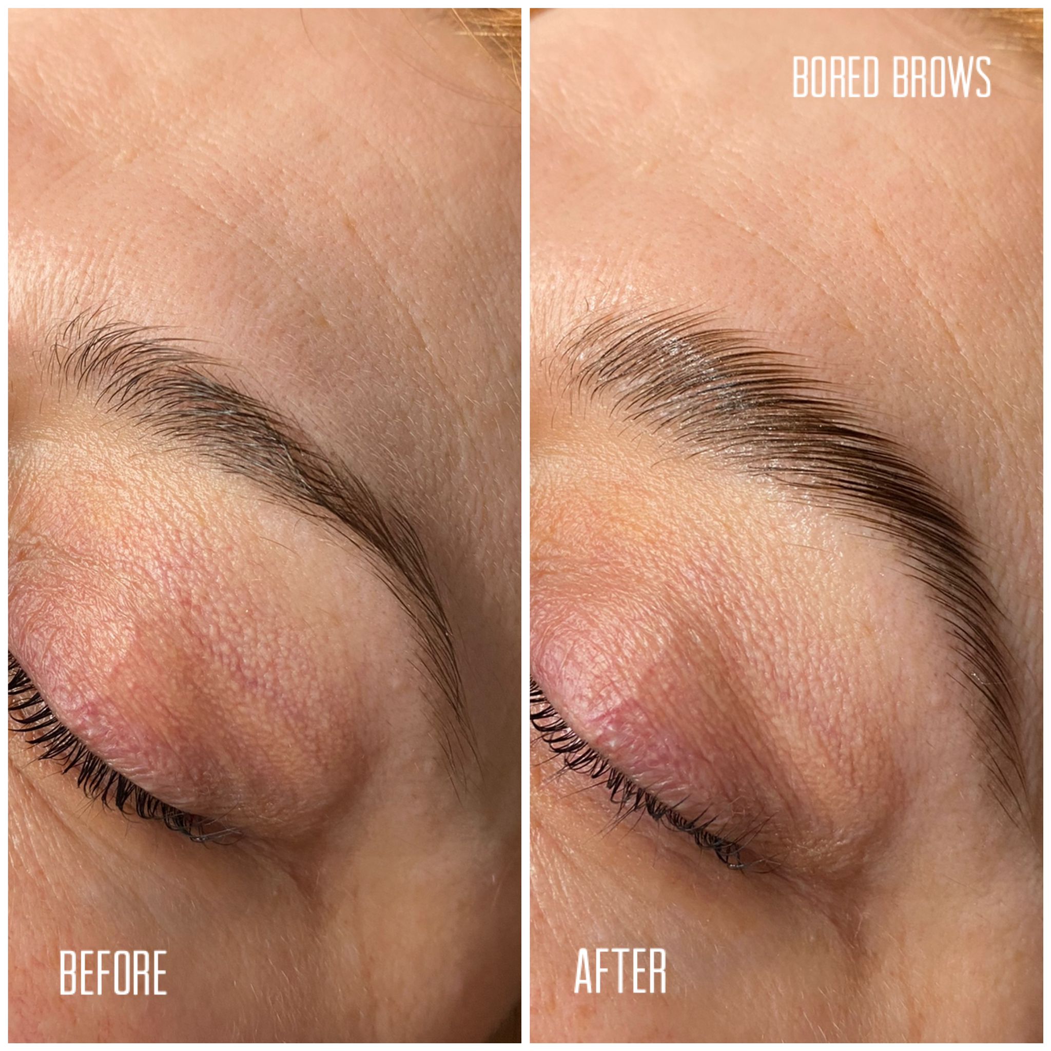 Brows Brows Brows Kit - Brow Kit, Brow Wax + Free Brush Set