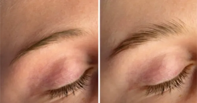 Brows Brows Brows Kit - Brow Kit, Brow Wax + Free Brush Set